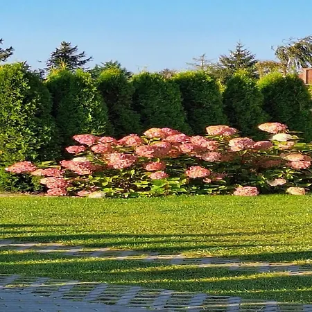 In Near Szczecin Lagoon *