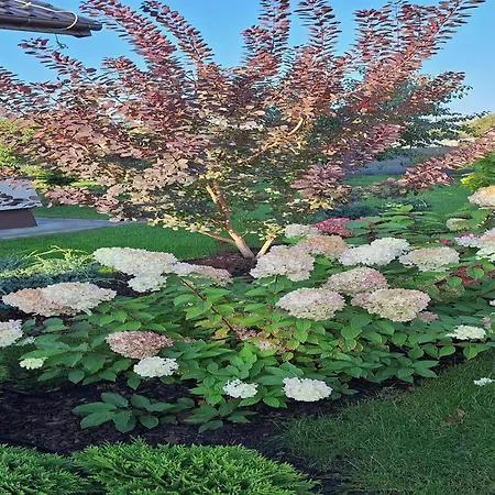 아파트 In Near Szczecin Lagoon